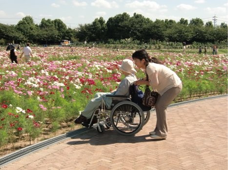 コスモス畑を車いすで散策するご家族とトラベルヘルパー